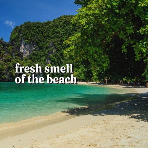 Stream Ocean Sounds FX | Listen to Fresh Smell of the Beach playlist ...