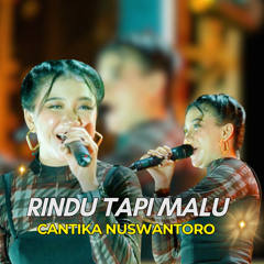 Rindu Tapi Malu