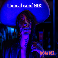 Llum al camí MIX