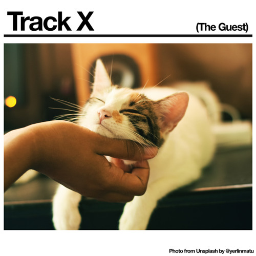 Black Country, New Road - 'Track X (The Guest)'