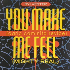 Sylvester - You make me feel (Dario Caminita Revibe)