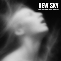 New Sky - Rüfüs Du Sol, Dennis Louvra, Mosoo (SYLS Edit)