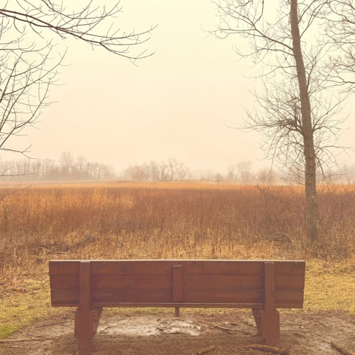 Serenity