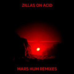 PREMIERE: Zillas On Acid - Should_Must (Anatolian Weapons Stages Of Late Pacifism Remix)