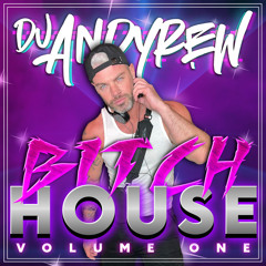 DjAndyrew - BITCH HOUSE VOL 1