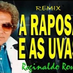 Reginaldo Rossi - A Raposa e as Uvas (Remix)
