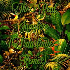 Real Jungle (Transfinite Remix)