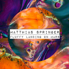 Matthias Springer - Fluffy Landing On Mars (Original Mix)