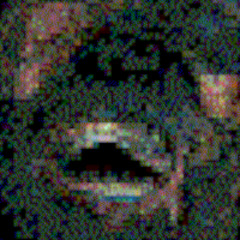 wildschut (PLEASE READ DESCRIPTION! IMPORTANT!)