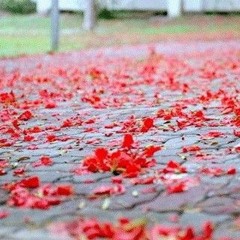 mình cũng nhau đóng băng -Remix