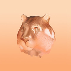 Copper Kiss (HAAi/Juno Mars Dub Excursion)