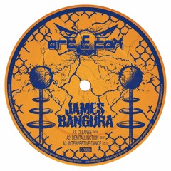 E-FAX009 – James Bangura (Snippets)