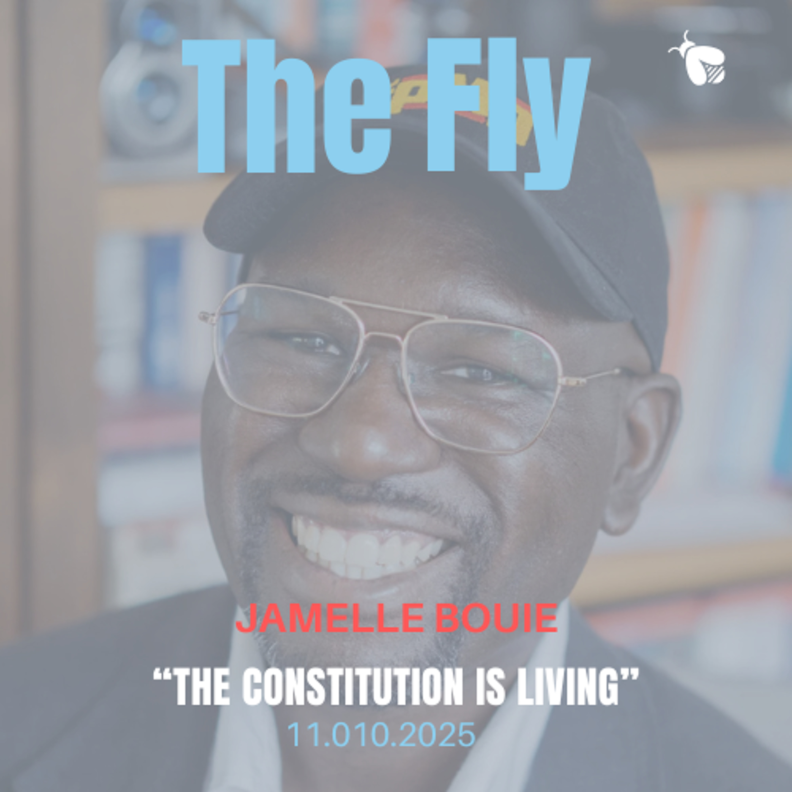Jamelle Bouie, NYT Opinion Columnist, "The Constitution is Living"