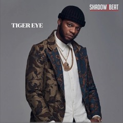 PAPOOSE TYPE BEAT - TIGER EYE