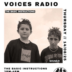 The Basic Instructions - 14/08/25 - [Voices Radio]