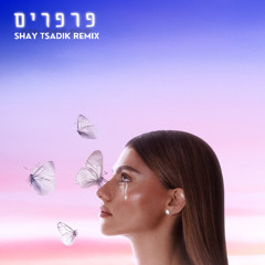 אודיה - פרפרים (Shay Tsadik Remix)