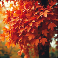 1974  შემოდგომა — ეს პატარა სიბერეა, შემოდგომა — ეს პატარა სიკვდილია. (Variation)