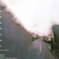 *PREMIERE* Fran Trelles - Anarchy 1 (Jordan Raymond Remix)
