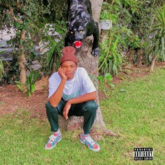 AFRO $INATRA - CPT ANTHEM (PROD. BY DIBIA$E)