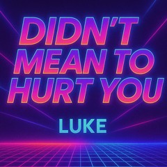 DIDN'T MEAN TO HURT YOU