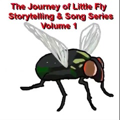 The Journey of Little Fly