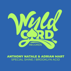 Brooklyn Acid - Anthony Natale & Adrian Mart EP SPECIAL SHINE