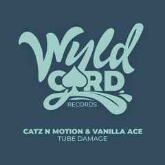 Catz N Motion , Vanilla Ace - Tube Damage (Original Mix)