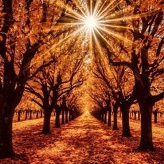 Yun hasraton ke daaag.mp3