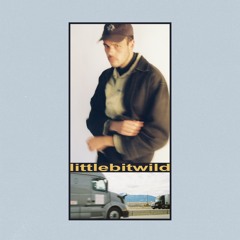 littlebitwild (feat. mallrat)