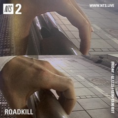 roadkill 021222