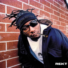 SELECTA STINKEE - REKT *FREE DL*