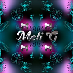Drop It Low - Meli G Tech House Mix 2022