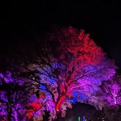 Listen to Life to Magic