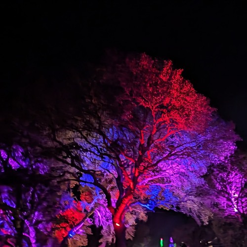 Listen to Life to Magic