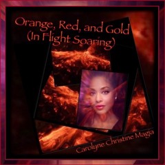 Orange, Red, and Gold (In Flight Soaring)