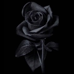 DEADLY - Black Rose