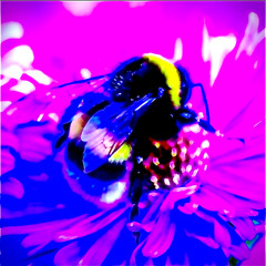 Made Sum Plans 4 Us (prod. YOUNGMESA)