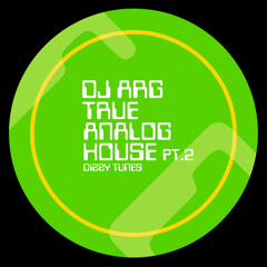 True Analog House 040