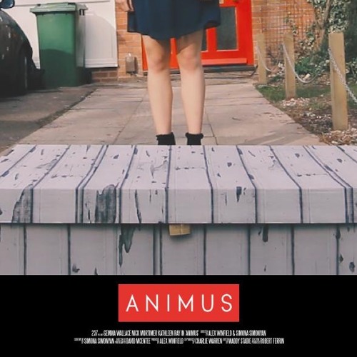 Animus 1m2 - The Box