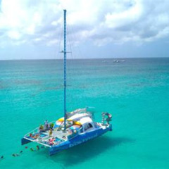 Review Special Price Dolphin Catamaran Snorkel And Sail With Open Bar