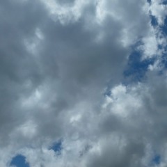 sculptures of Life.mp3