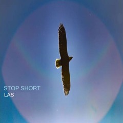 Stop Short