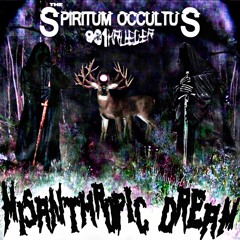 MISANTHROPIC DREAM W/ @901KRUEGER