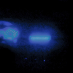 ergo blue reprise 🌠