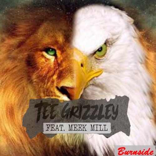 Tee Grizzley - Lions & Eagles Ft. Meek Mill (Slowed + Reverb)