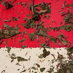 Klopfen und mahlen - Stängel nagel trockene Blume +bild1.m4a