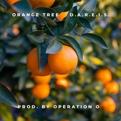 D.A.R.E.I.S.  - Orange Tree (Produced by Operation O™)