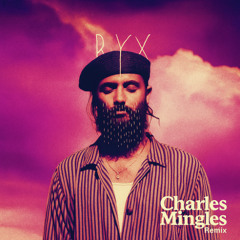 RYX - Salt (Charles Mingles Remix)