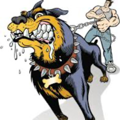 Big Dawgz