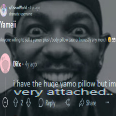 Yameii starts a new #BUSINESS and starts selling body pillows... *Gone wrong*
